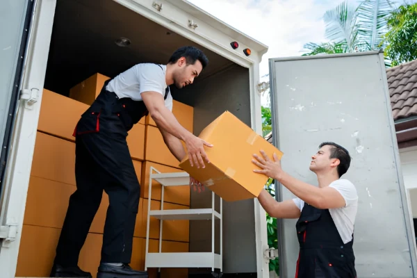 Courier Services