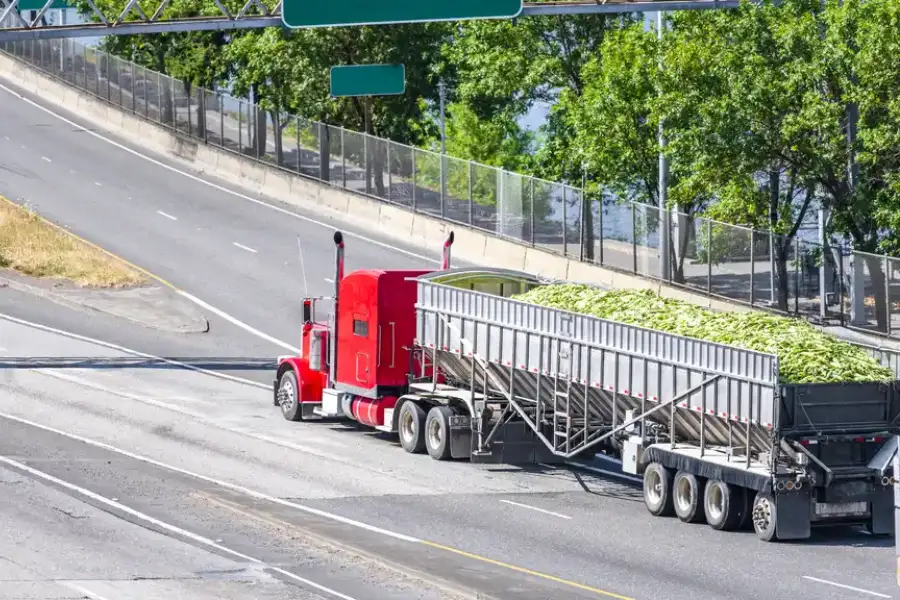 Professional Trucking Services Detroit, MI Professional Trucking Services Detroit, MI